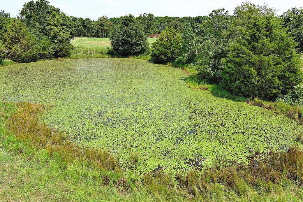 Photo 24 - Land for sale – 000  State Highway Y   Seneca, MO