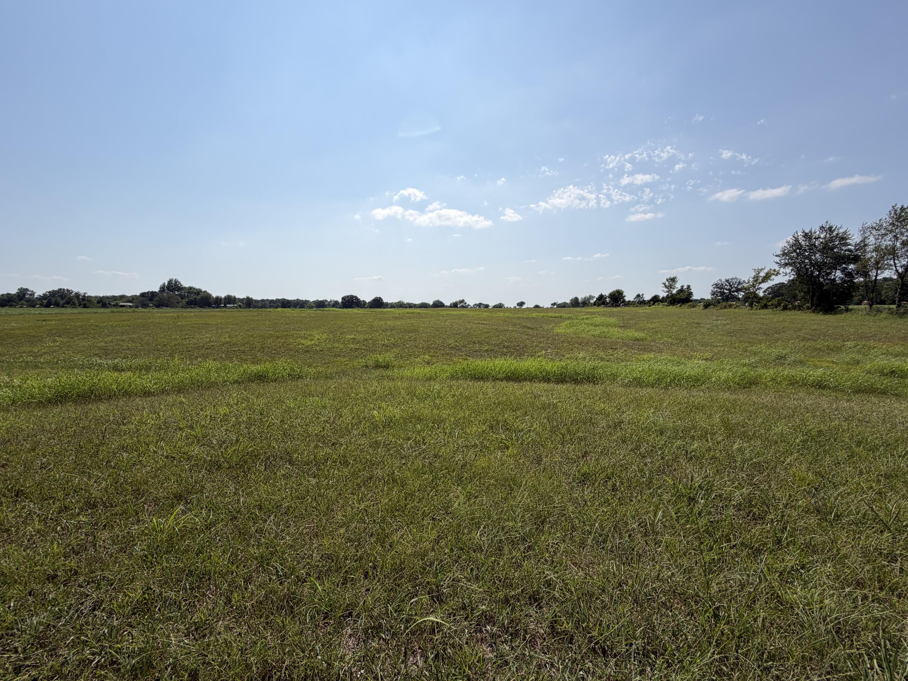 Photo 5 - Land for sale – 000  State Highway Y   Seneca, MO