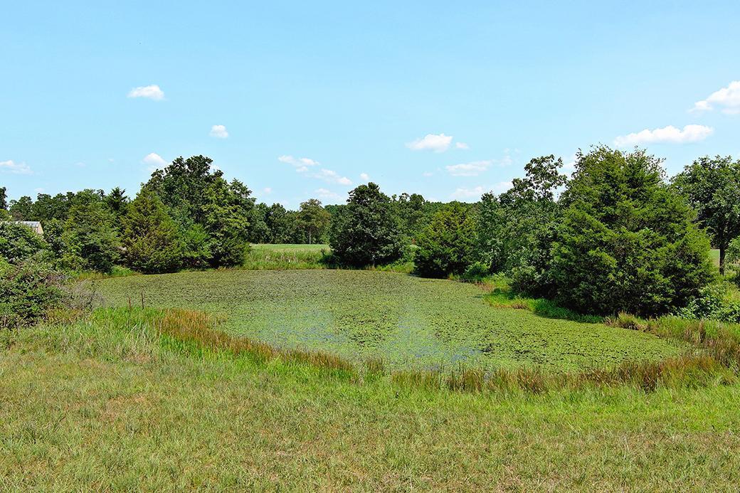 Photo 25 - Land for sale – 000  State Highway Y   Seneca, MO