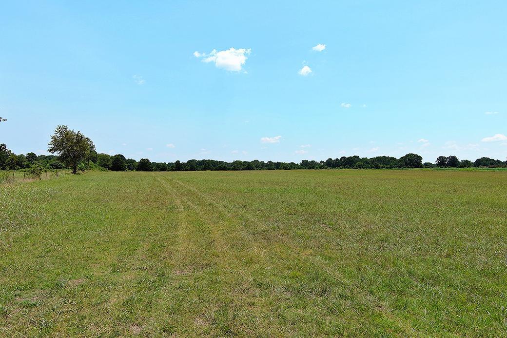 Photo 10 - Land for sale – 000  State Highway Y   Seneca, MO