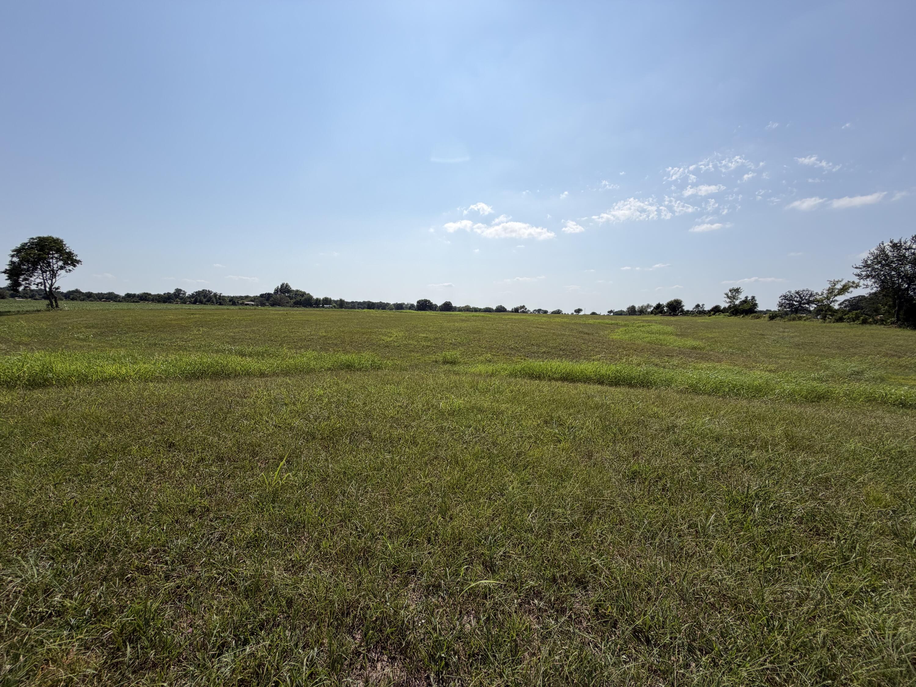 Photo 8 - Land for sale – 000  State Highway Y   Seneca, MO