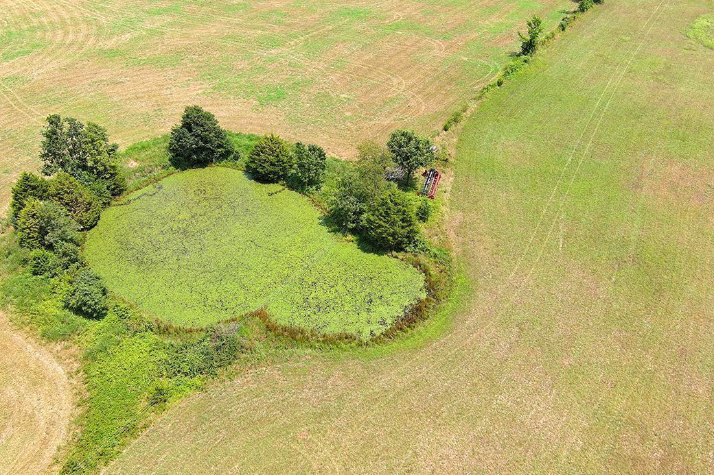Photo 22 - Land for sale – 000  State Highway Y   Seneca, MO