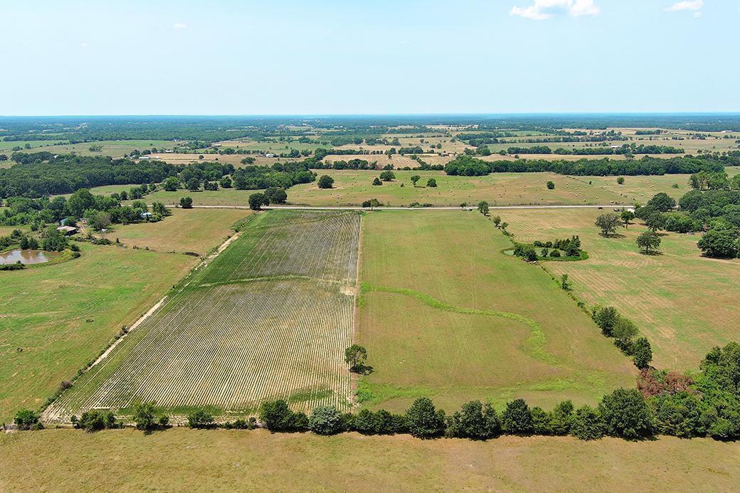 Photo 14 - Land for sale – 000  State Highway Y   Seneca, MO