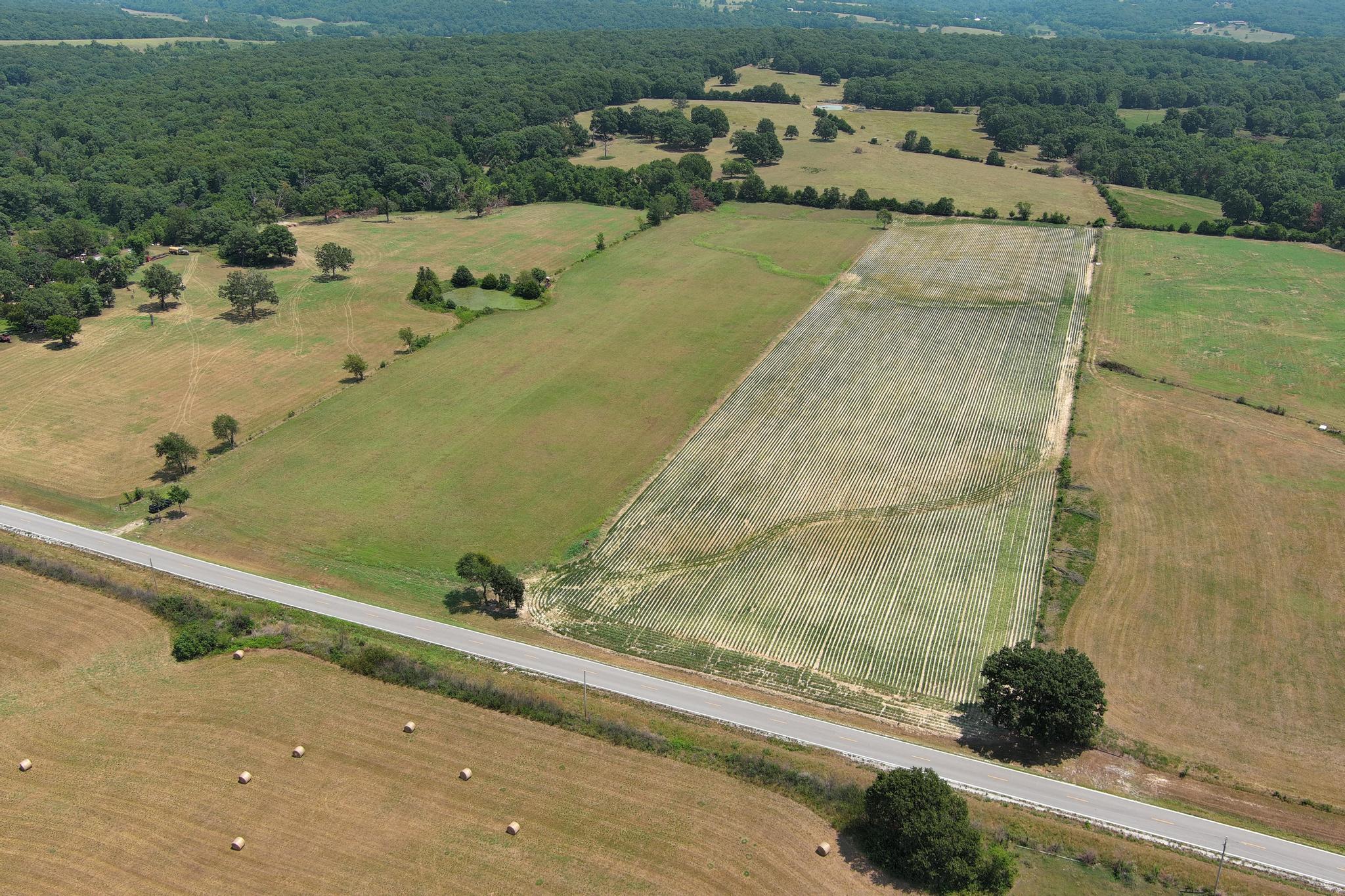 Photo 23 - Land for sale – 000  State Highway Y   Seneca, MO