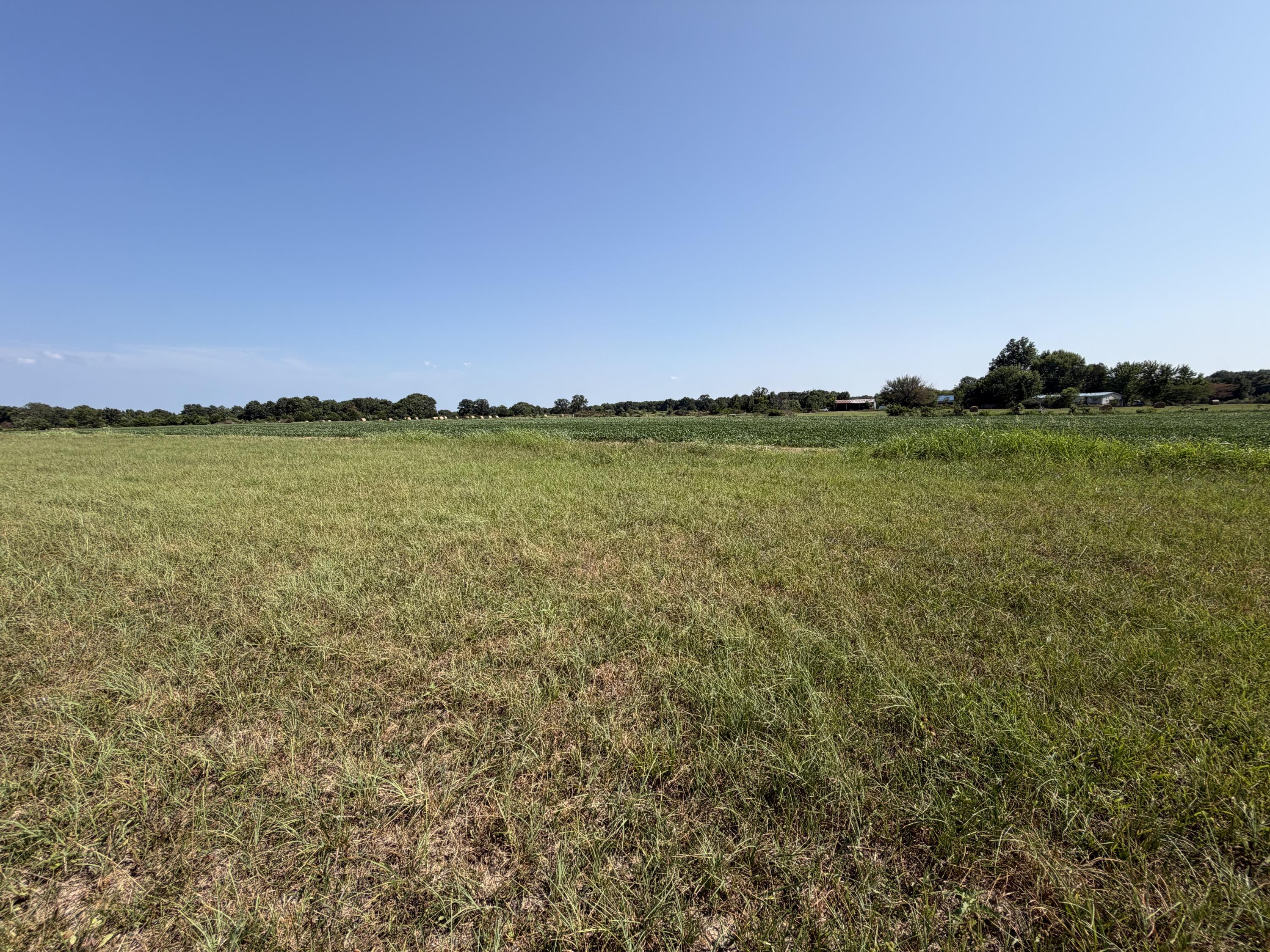 Photo 6 - Land for sale – 000  State Highway Y   Seneca, MO