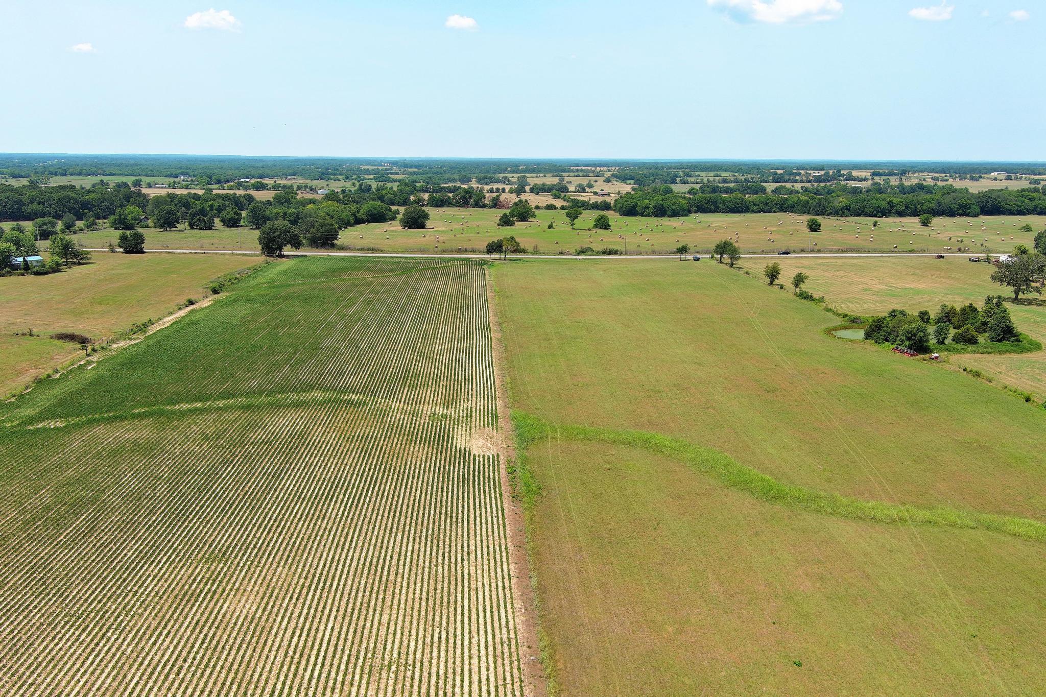Photo 20 - Land for sale – 000  State Highway Y   Seneca, MO