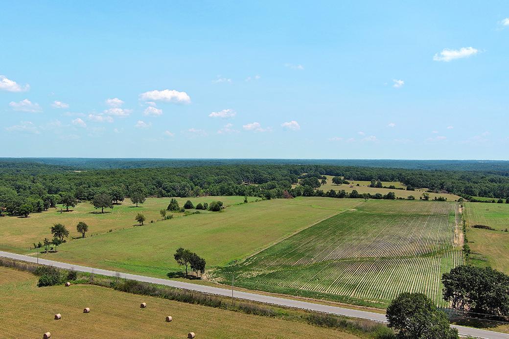 Photo 15 - Land for sale – 000  State Highway Y   Seneca, MO