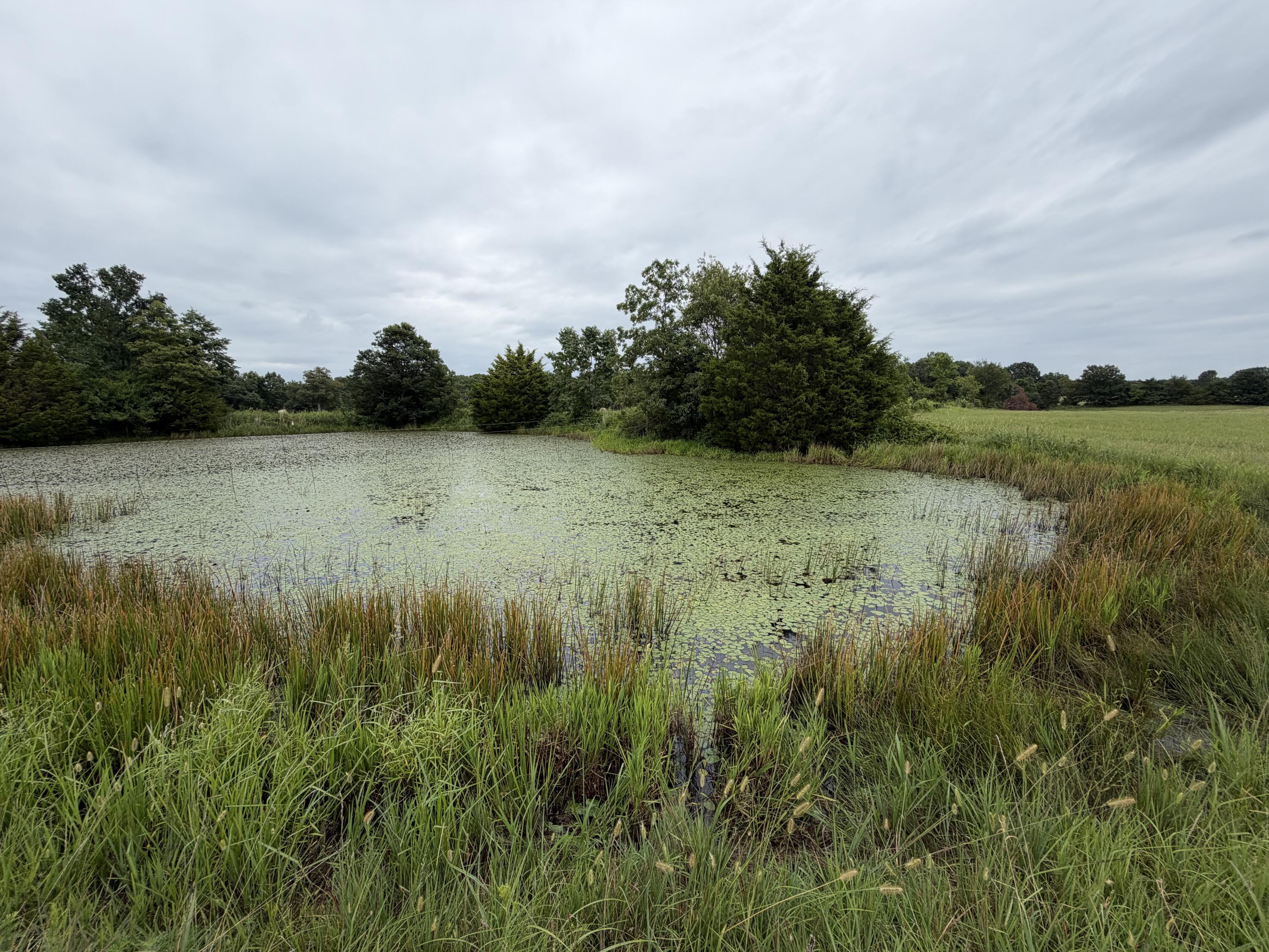 Photo 3 - Land for sale – 000  State Highway Y   Seneca, MO