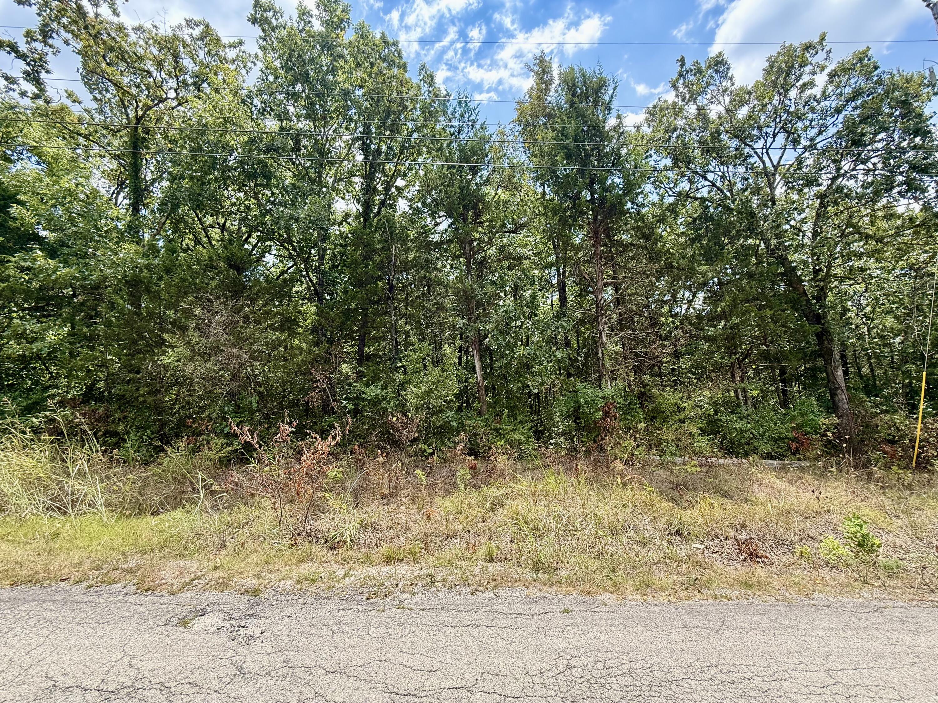 Photo 2 - Land for sale – Lot 5  Driftwood Road  Merriam Woods, MO