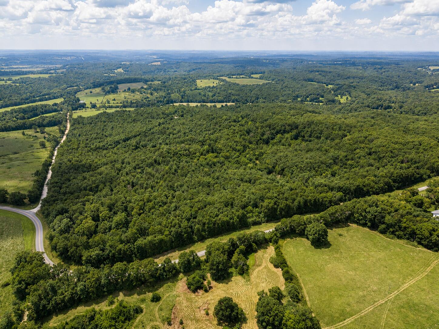 Photo 6 - Land for sale – 000  State Highway E   Hartville, MO