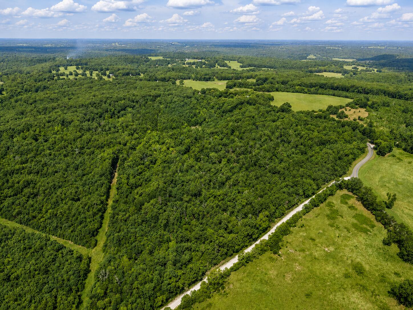 Photo 4 - Land for sale – 000  State Highway E   Hartville, MO