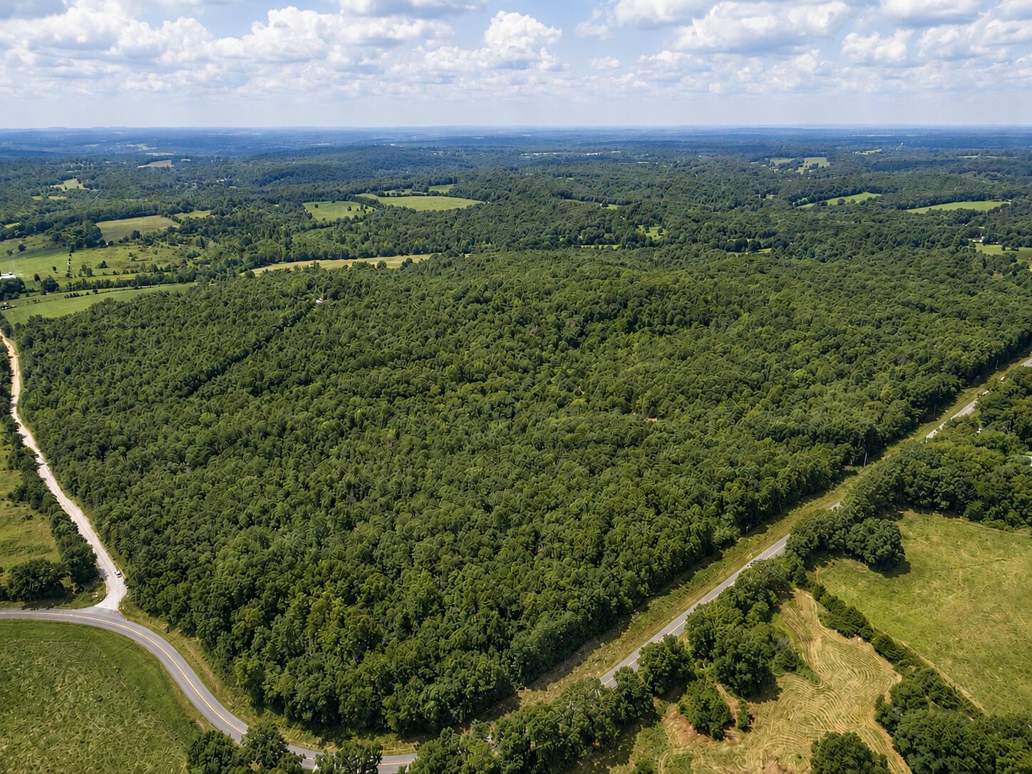 Photo 5 - Land for sale – 000  State Highway E   Hartville, MO