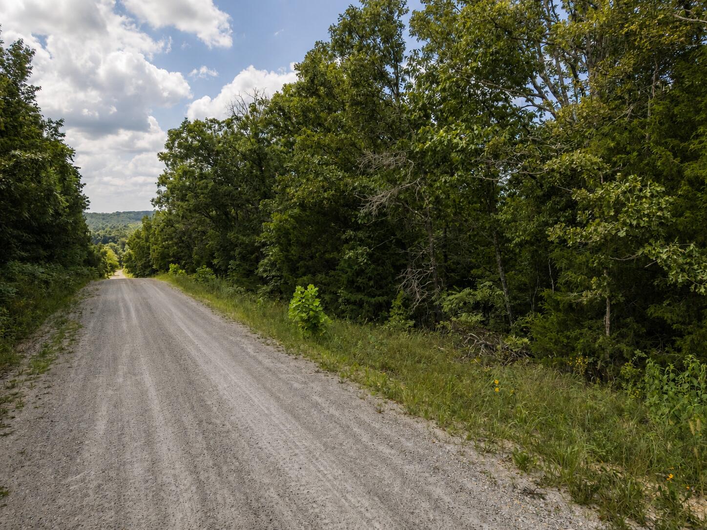 Photo 13 - Land for sale – 000  State Highway E   Hartville, MO
