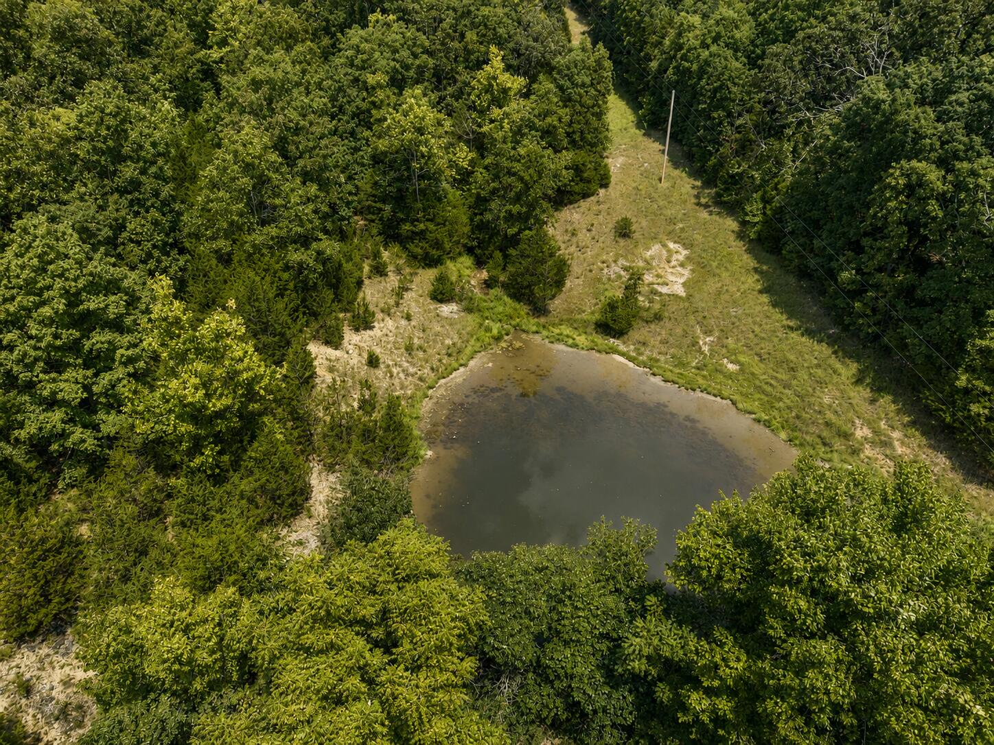 Photo 9 - Land for sale – 000  State Highway E   Hartville, MO