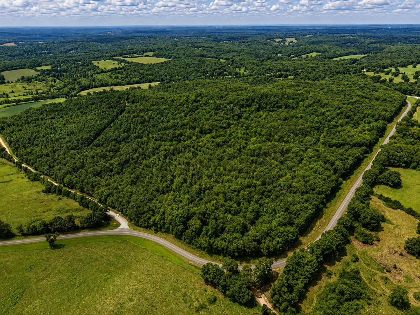 Photo 3 - Land for sale – 000  State Highway E   Hartville, MO