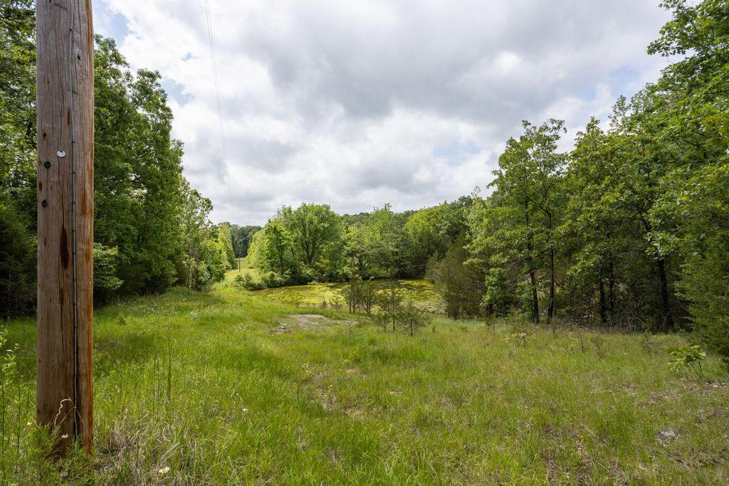 Photo 17 - Land for sale – 000  State Highway E   Hartville, MO