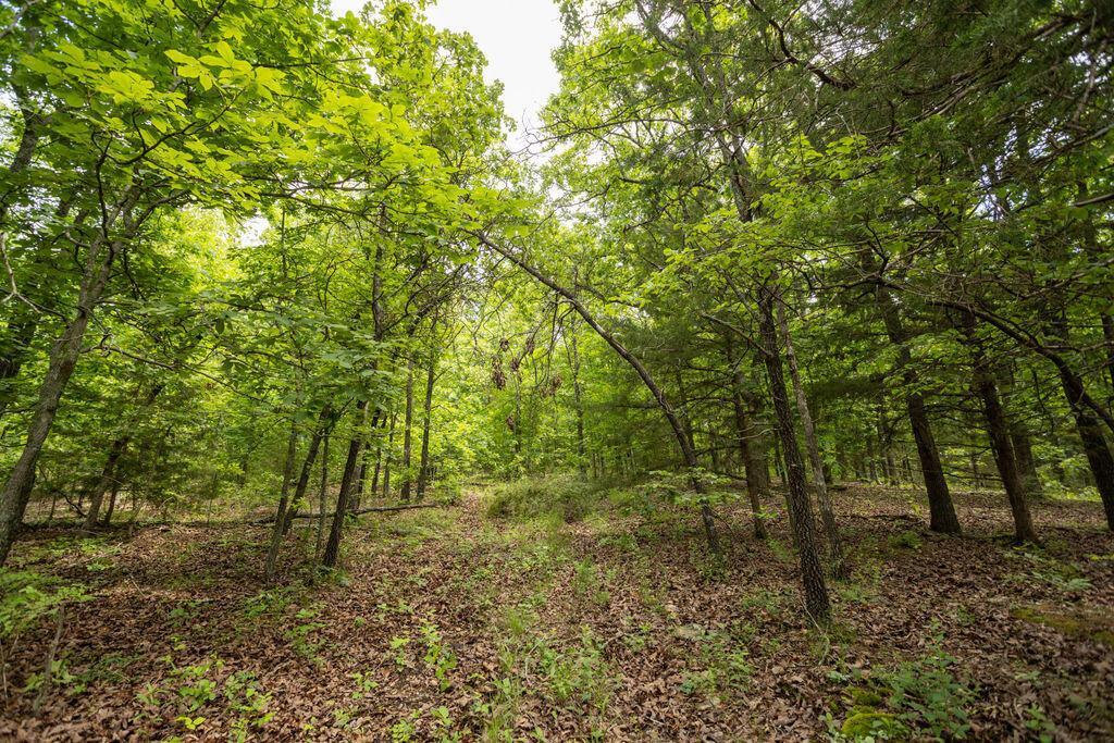 Photo 19 - Land for sale – 000  State Highway E   Hartville, MO