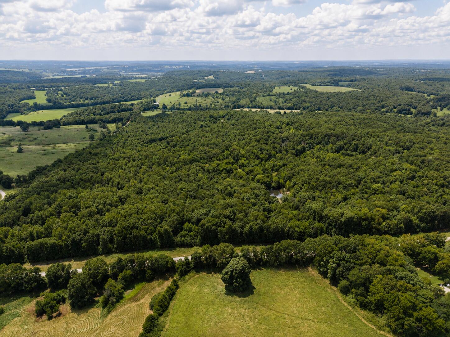 Photo 7 - Land for sale – 000  State Highway E   Hartville, MO