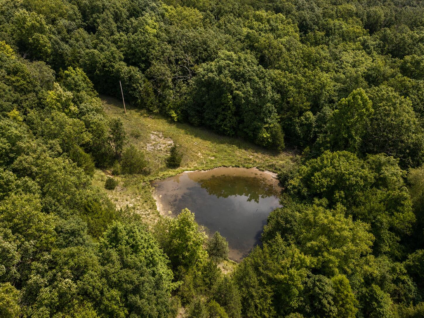Photo 8 - Land for sale – 000  State Highway E   Hartville, MO