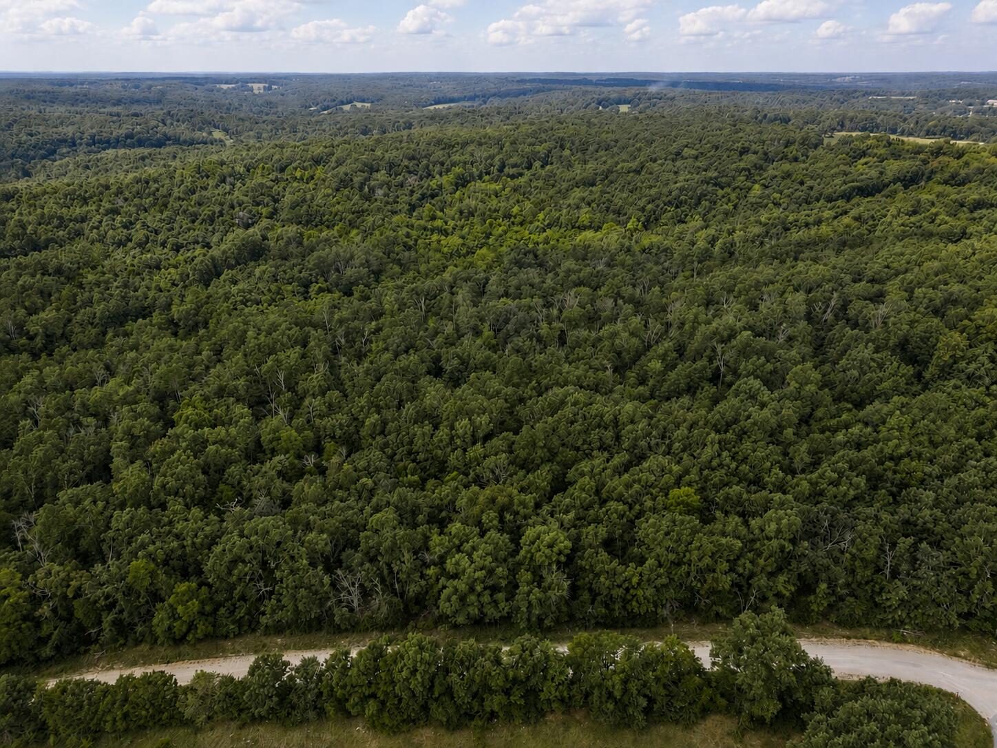 Photo 12 - Land for sale – 000  State Highway E   Hartville, MO