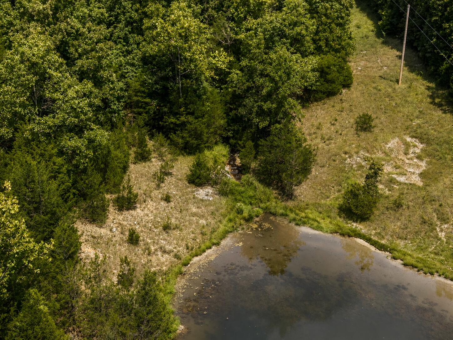 Photo 10 - Land for sale – 000  State Highway E   Hartville, MO