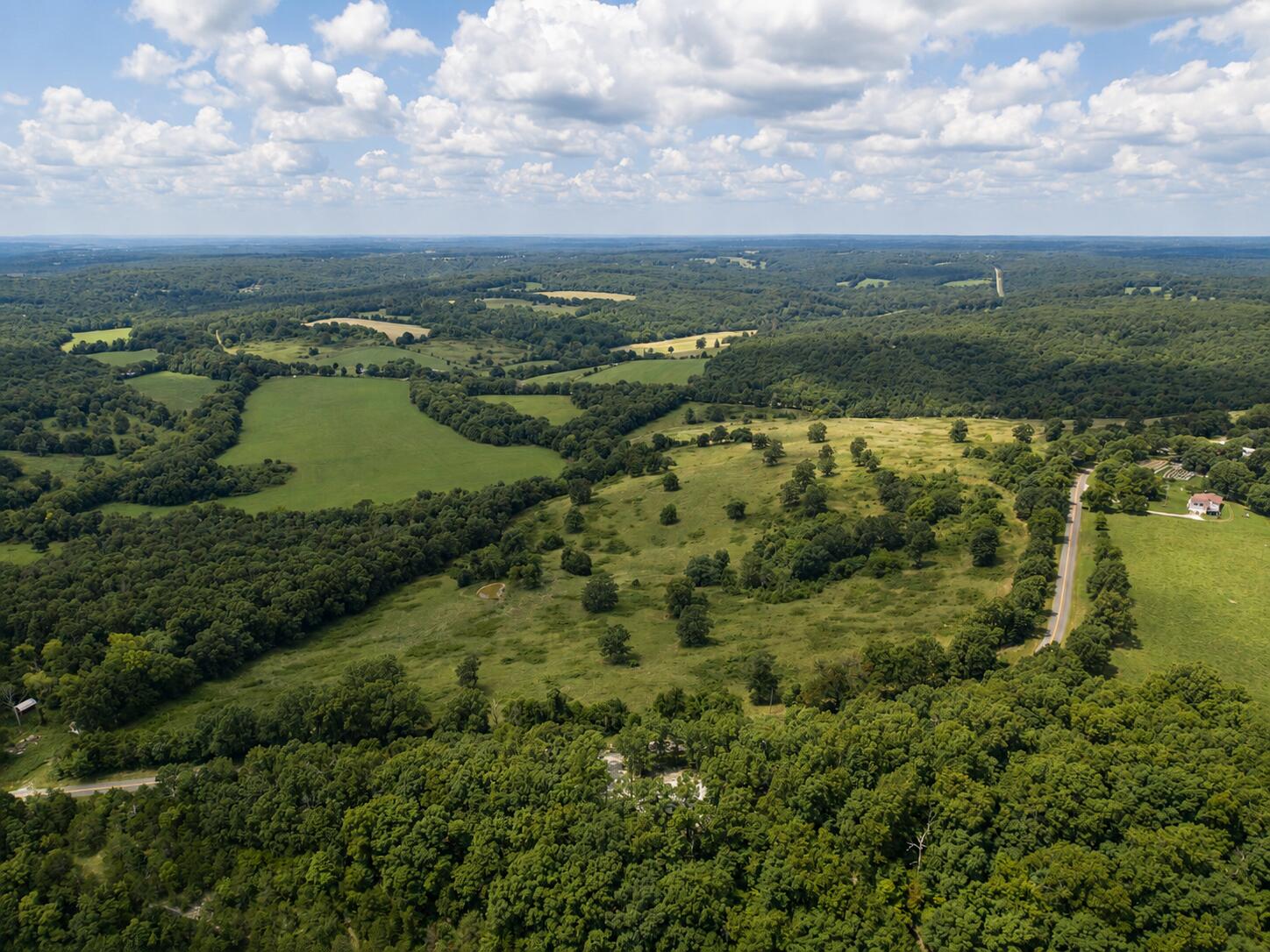 Photo 3 - Land for sale – Tbd  State Highway E   Hartville, MO