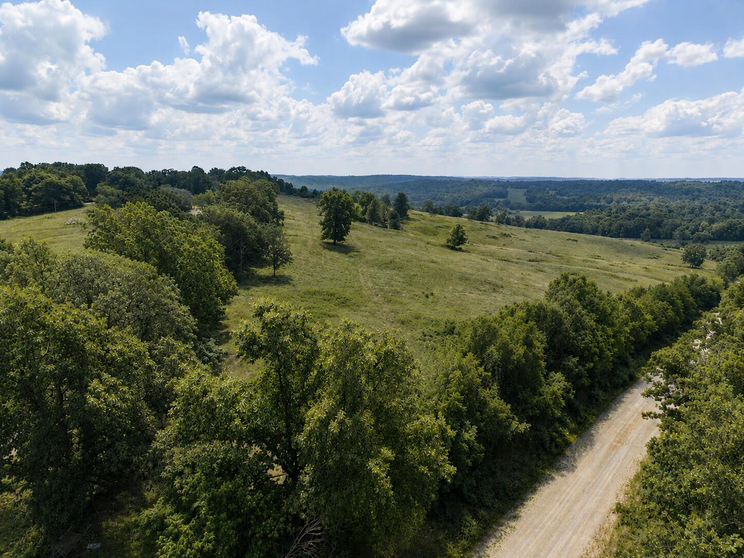 Photo 7 - Land for sale – Tbd  State Highway E   Hartville, MO