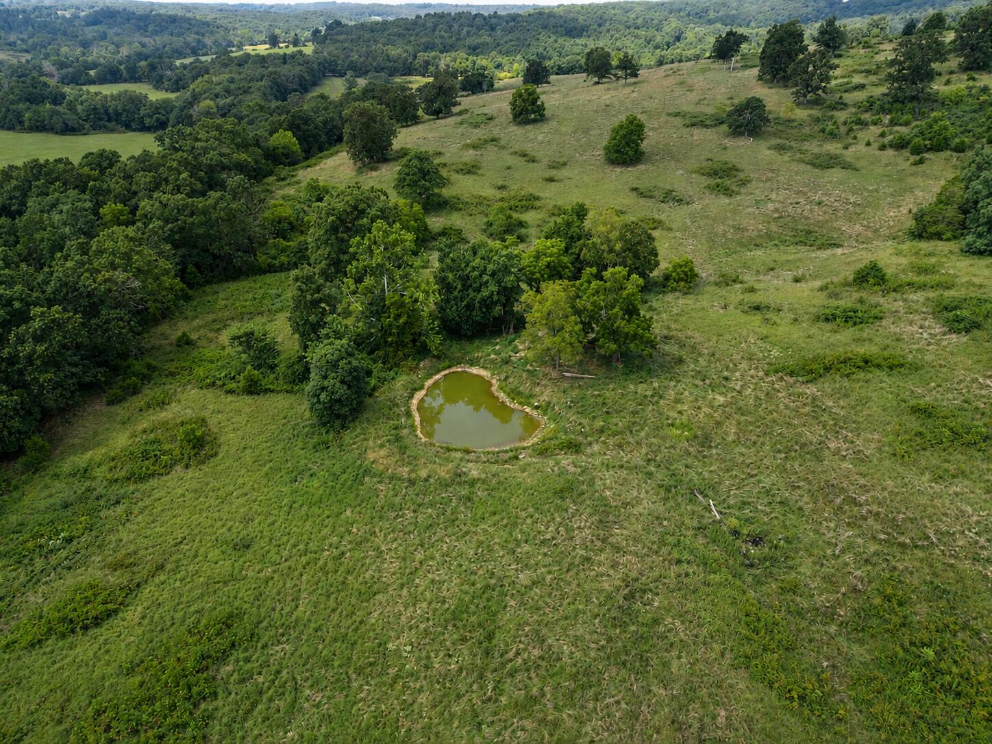 Photo 11 - Land for sale – Tbd  State Highway E   Hartville, MO