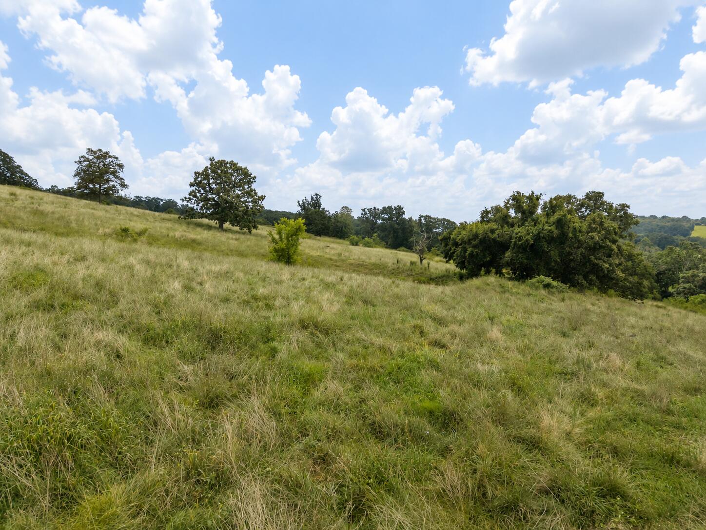 Photo 10 - Land for sale – Tbd  State Highway E   Hartville, MO