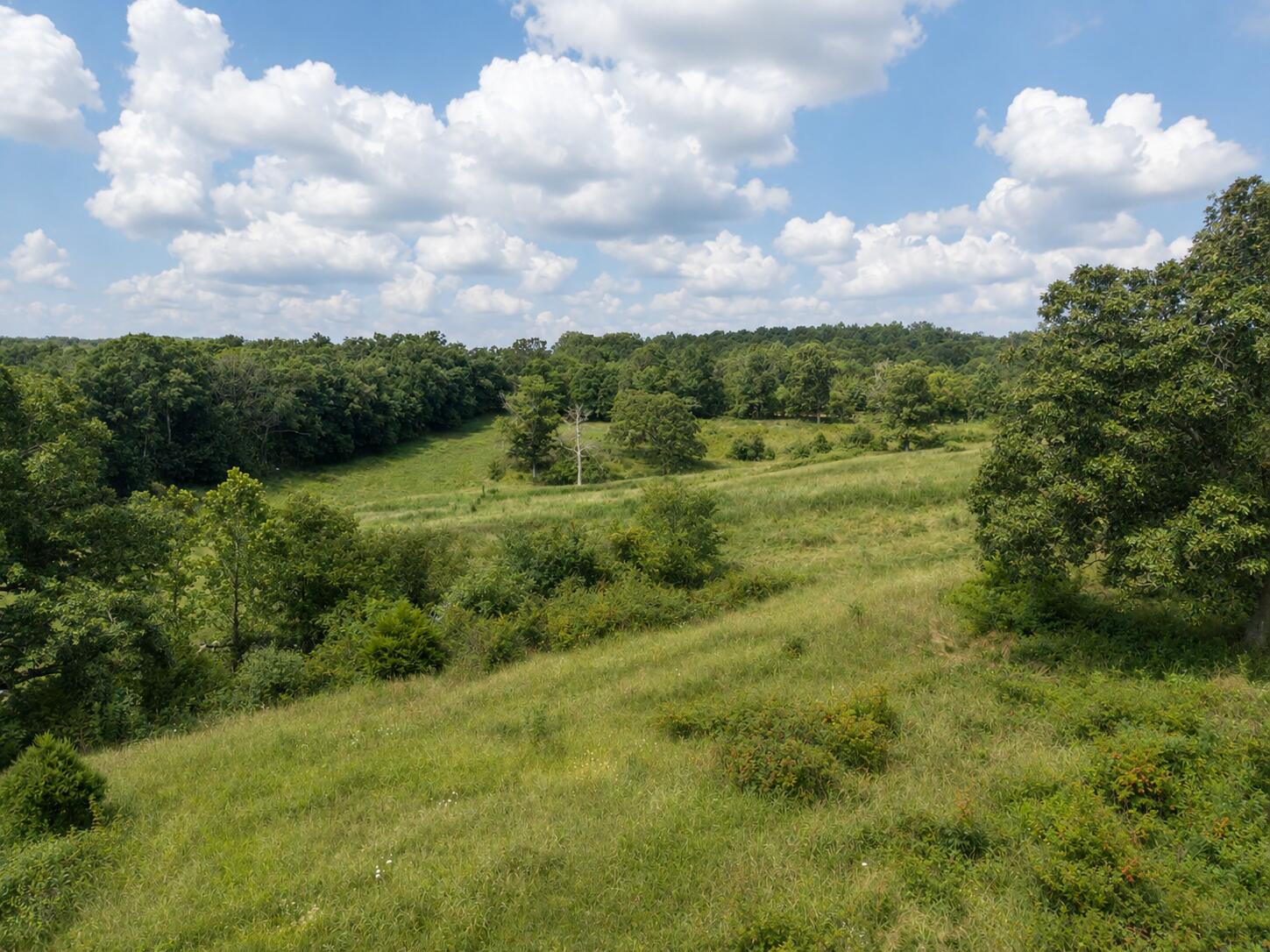 Photo 15 - Land for sale – Tbd  State Highway E   Hartville, MO