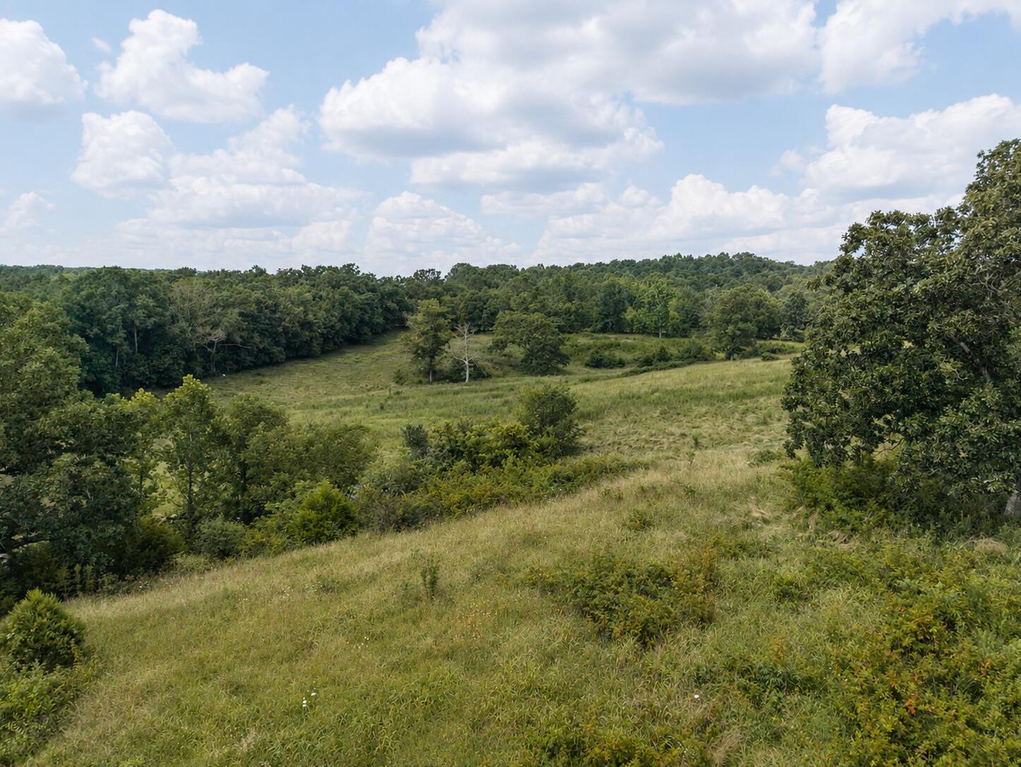 Photo 5 - Land for sale – Tbd  State Highway E   Hartville, MO