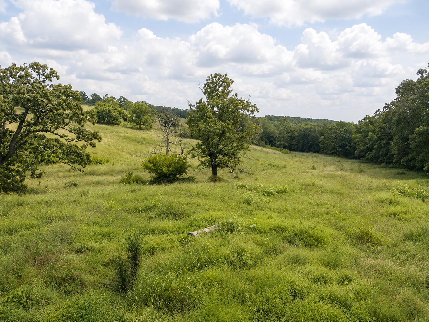 Photo 16 - Land for sale – Tbd  State Highway E   Hartville, MO