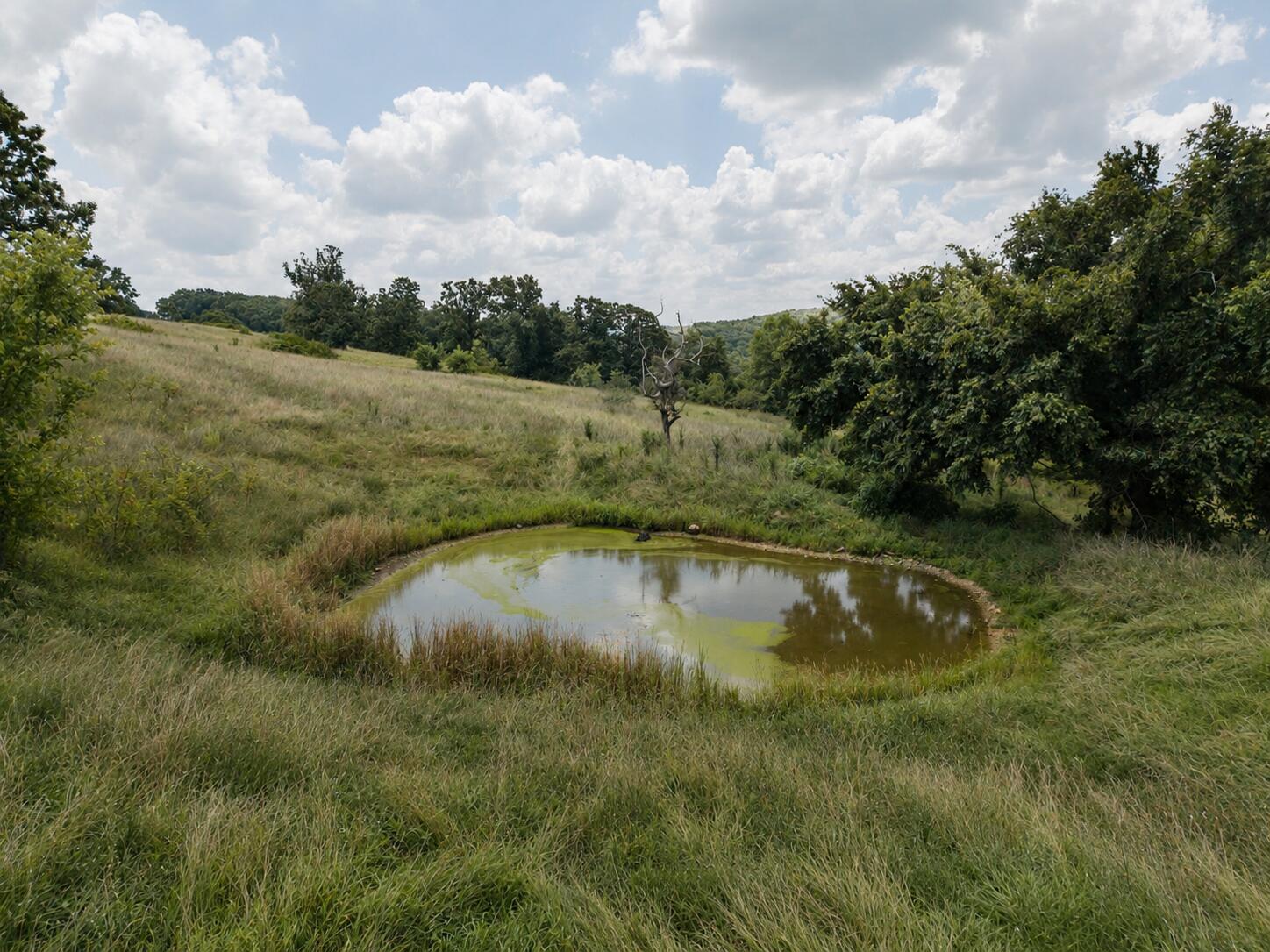 Photo 13 - Land for sale – Tbd  State Highway E   Hartville, MO