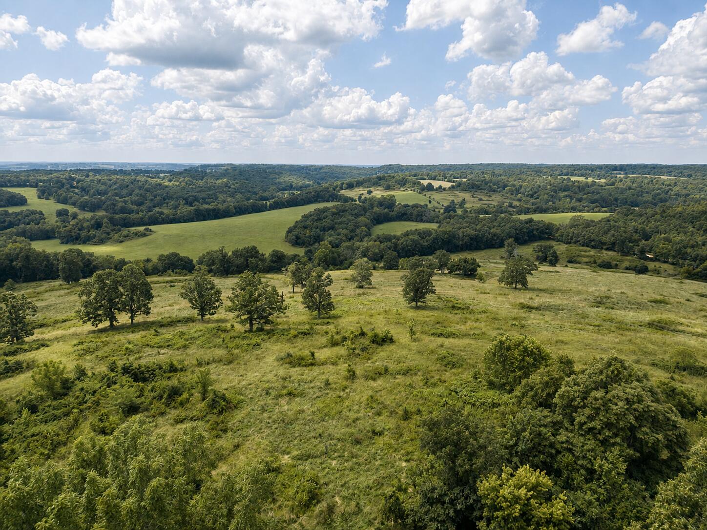 Photo 6 - Land for sale – Tbd  State Highway E   Hartville, MO