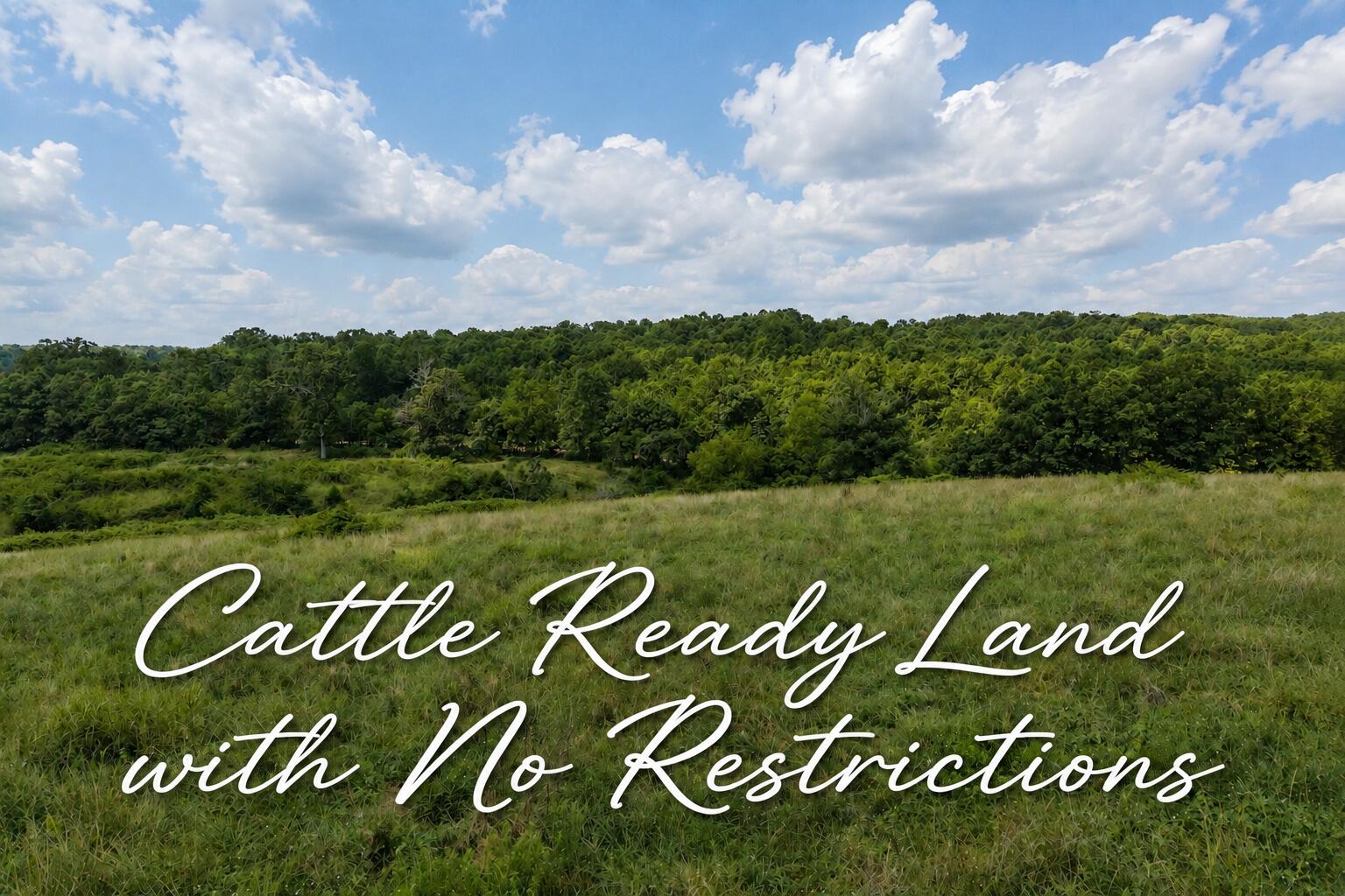 Land for sale – Tbd  State Highway E   Hartville, MO