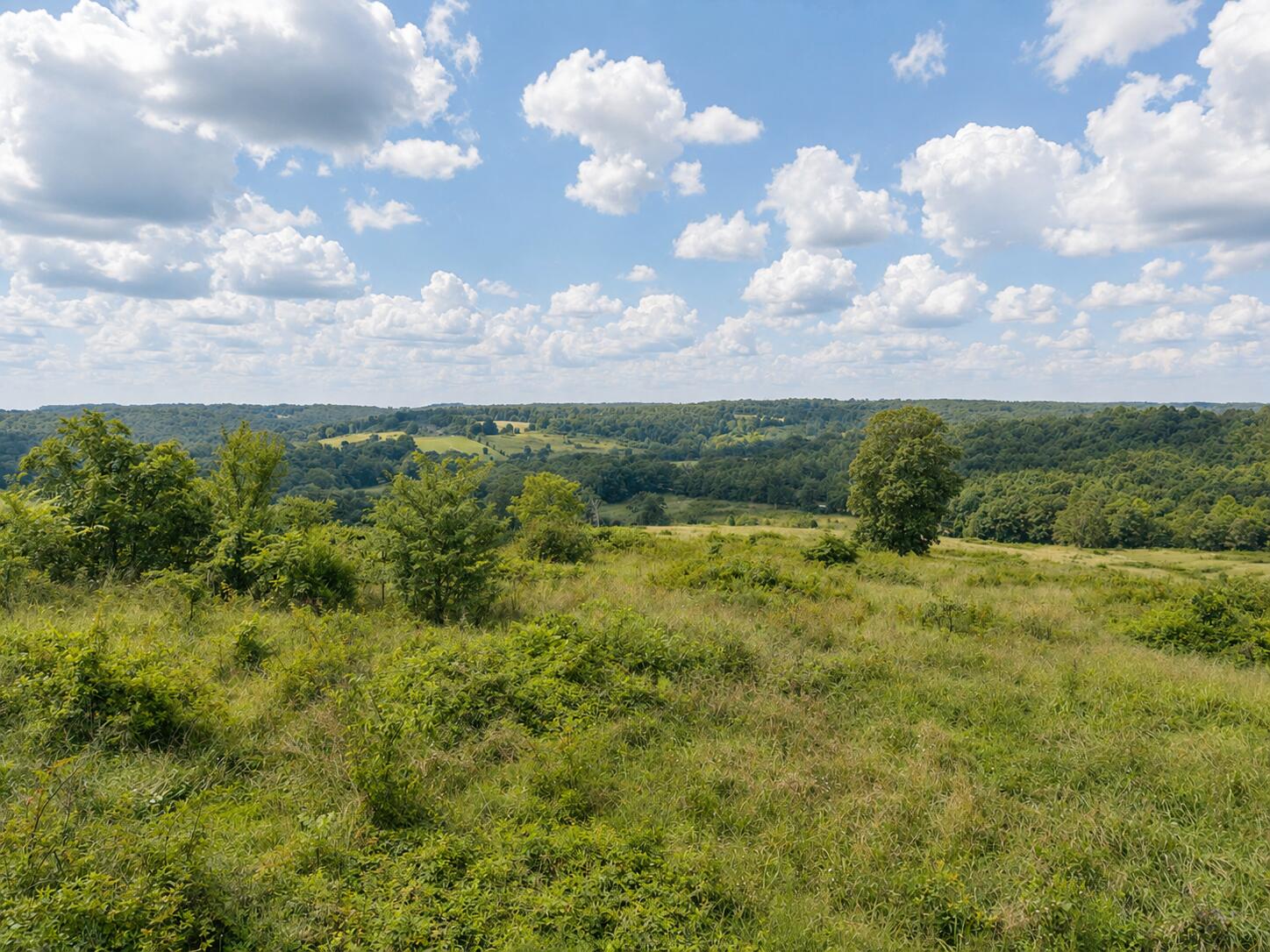 Photo 14 - Land for sale – Tbd  State Highway E   Hartville, MO