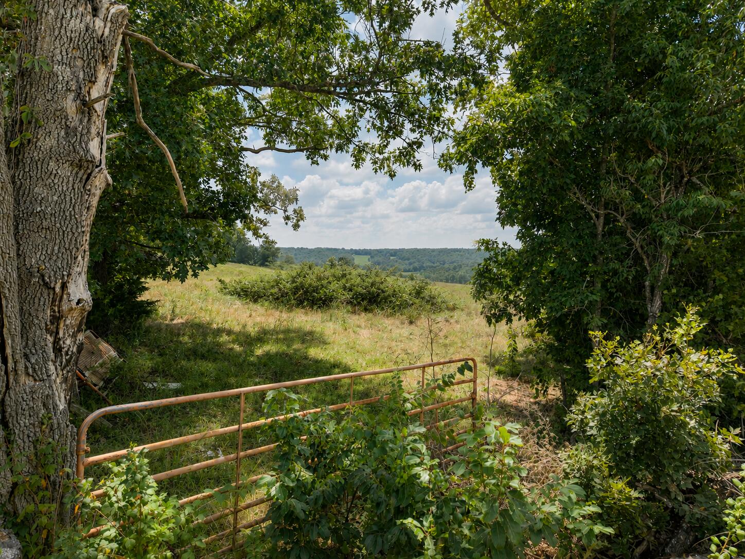 Photo 4 - Land for sale – Tbd  State Highway E   Hartville, MO