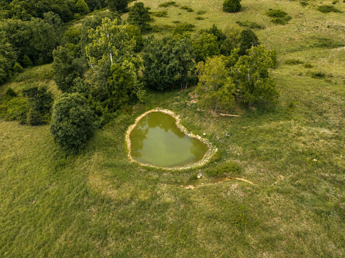 Photo 12 - Land for sale – Tbd  State Highway E   Hartville, MO