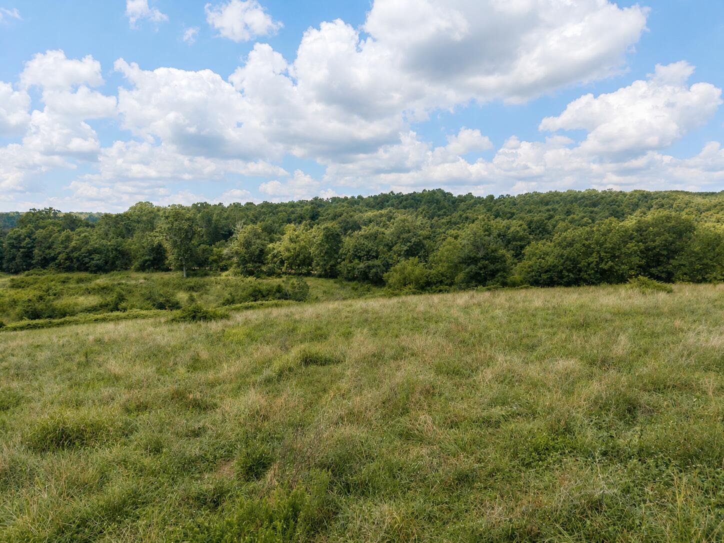 Photo 8 - Land for sale – Tbd  State Highway E   Hartville, MO