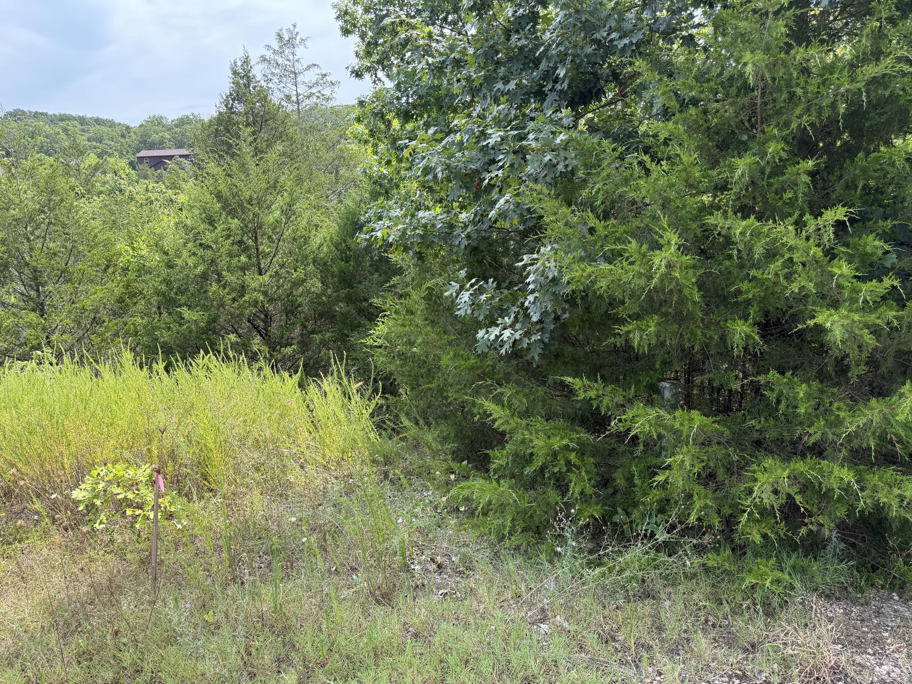 Photo 5 - Land for sale – 256  Blue Lake Trail  Branson West, MO