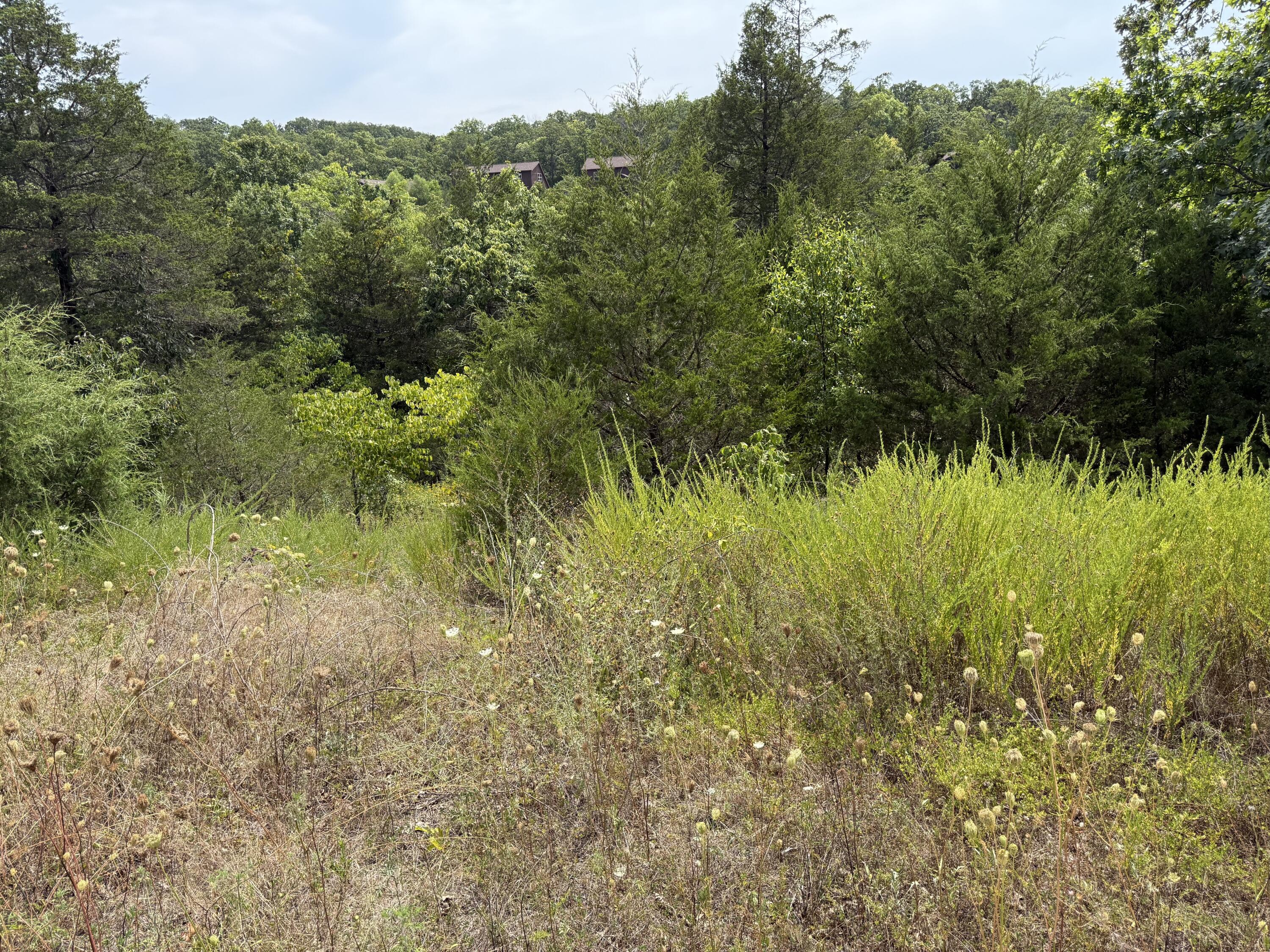 Land for sale – 256  Blue Lake Trail  Branson West, MO