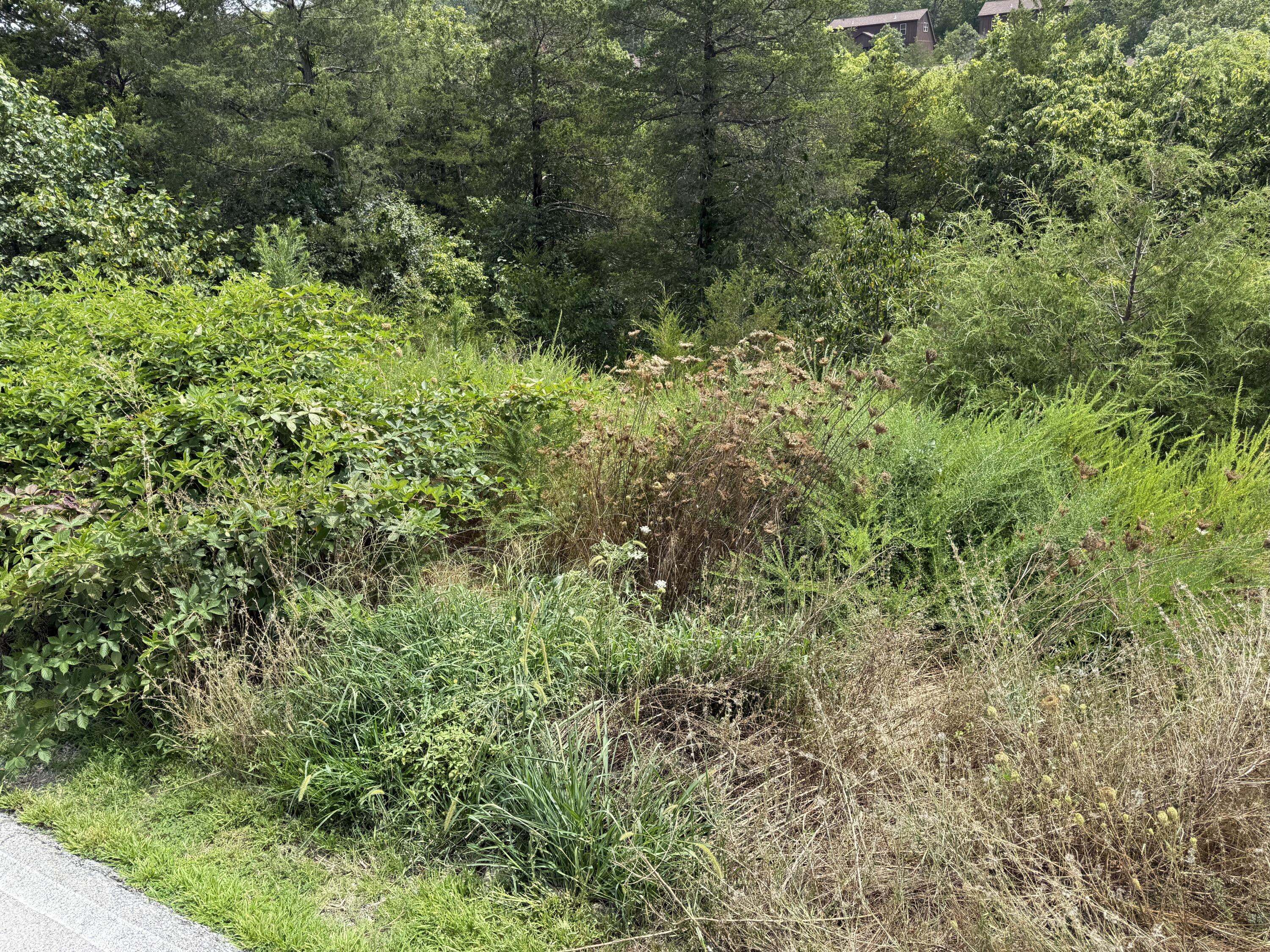 Photo 7 - Land for sale – 256  Blue Lake Trail  Branson West, MO