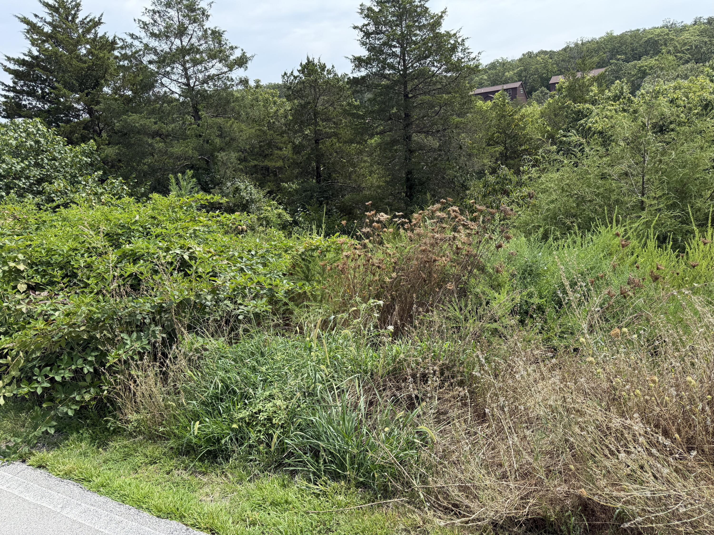 Photo 6 - Land for sale – 256  Blue Lake Trail  Branson West, MO