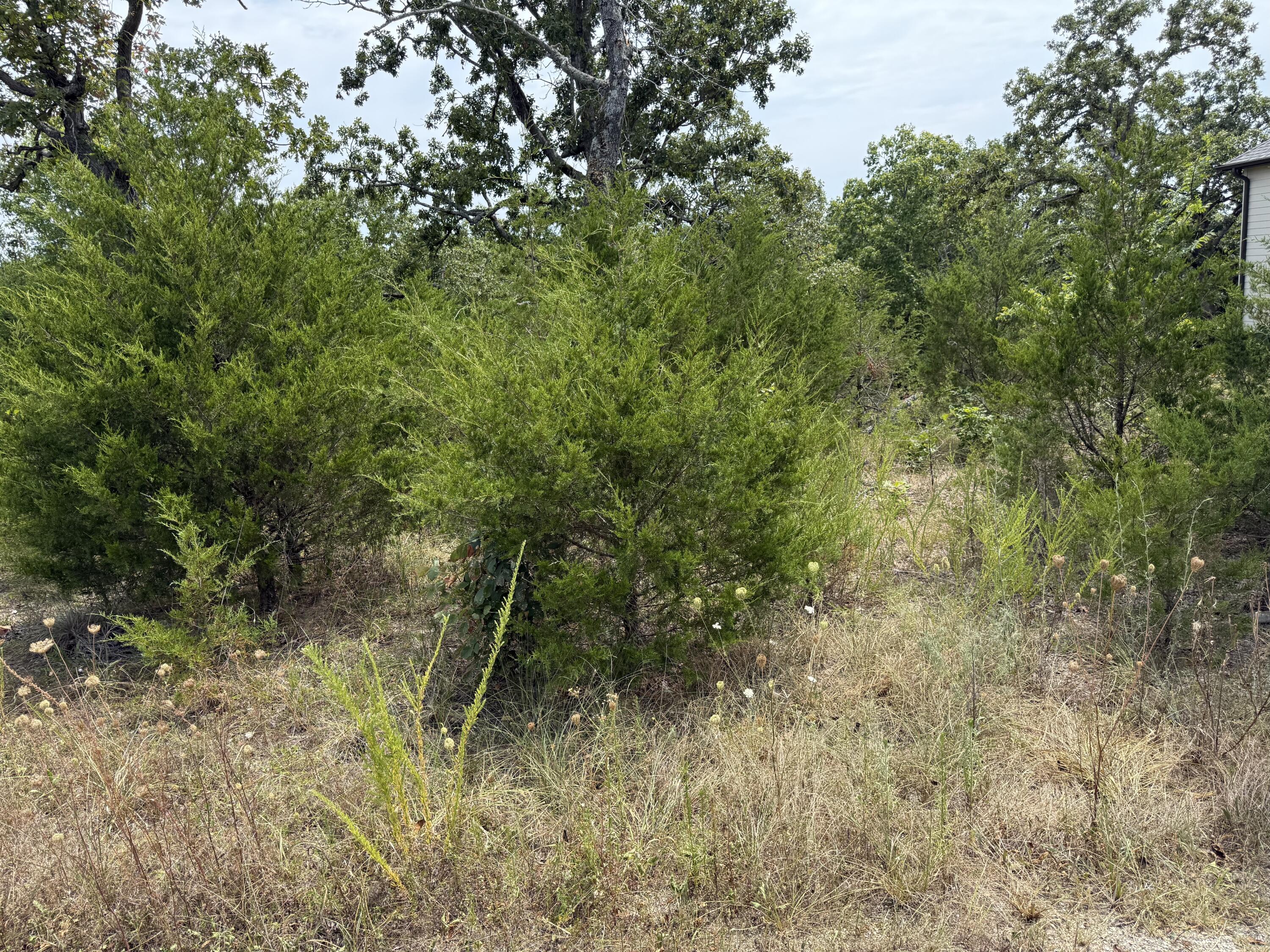 Photo 6 - Land for sale – 295  Beechwood Drive  Branson West, MO
