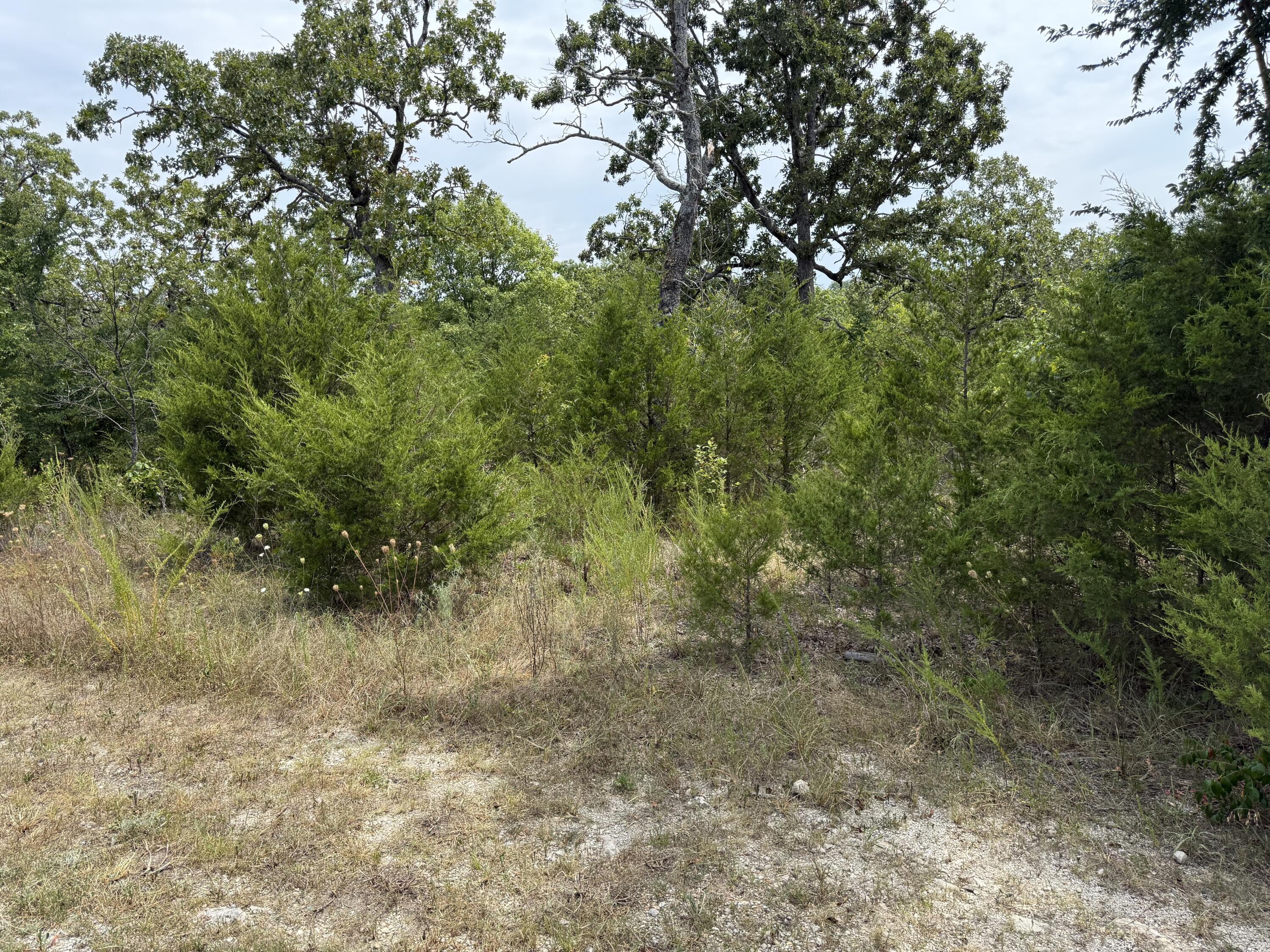 Land for sale – 295  Beechwood Drive  Branson West, MO
