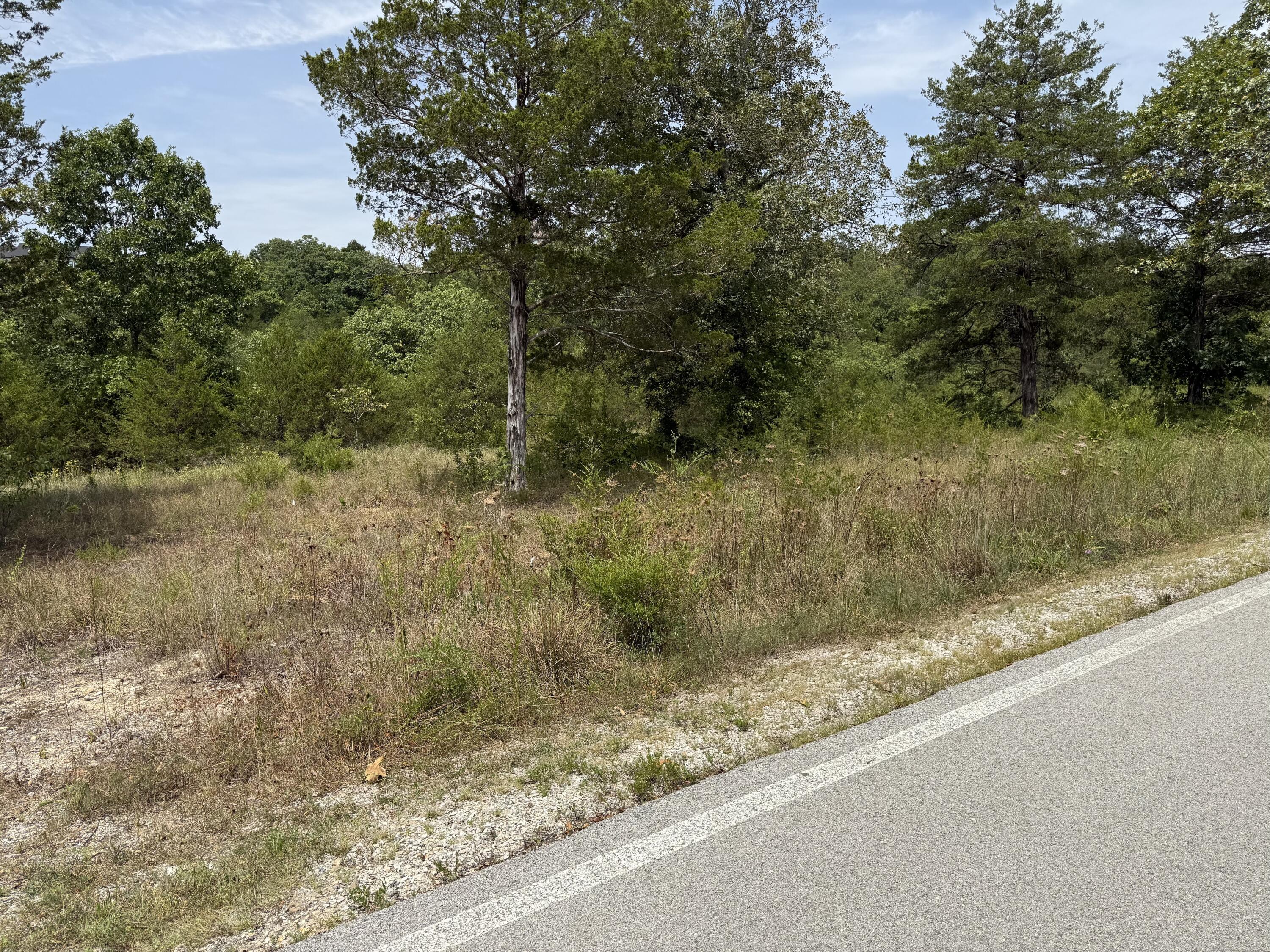 Photo 6 - Land for sale – 272  Beechwood Drive  Branson West, MO
