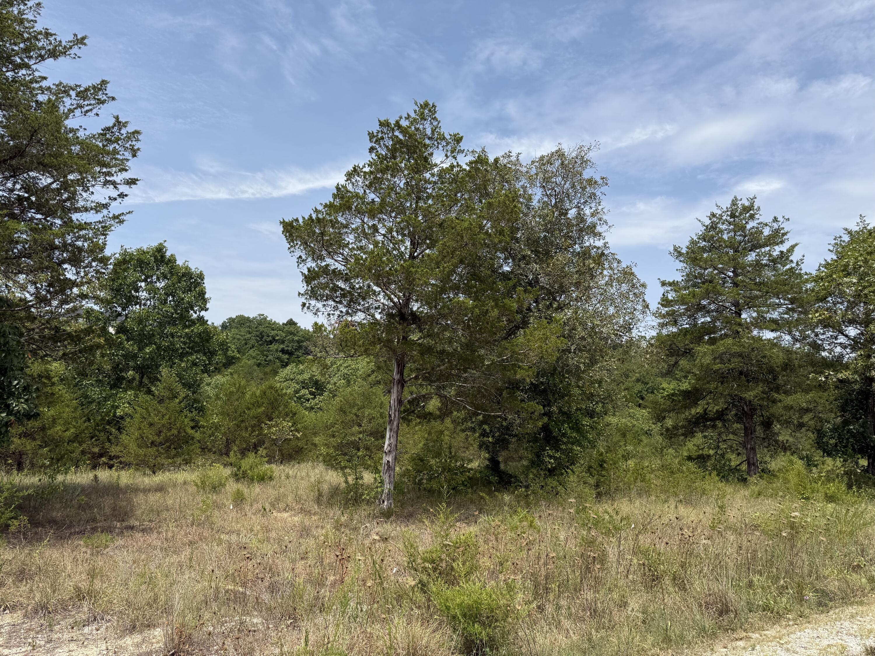 Photo 5 - Land for sale – 272  Beechwood Drive  Branson West, MO