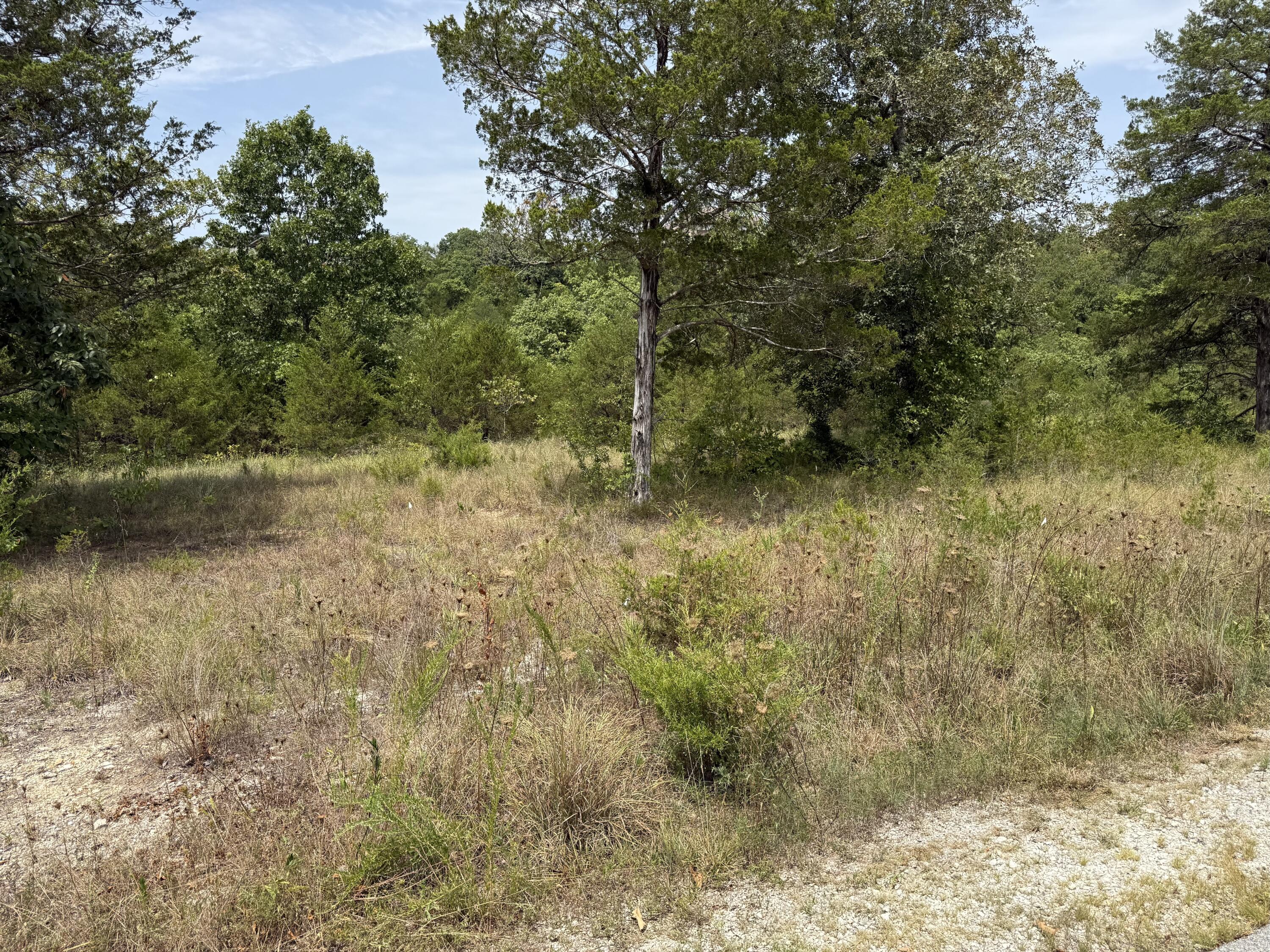 Land for sale – 272  Beechwood Drive  Branson West, MO