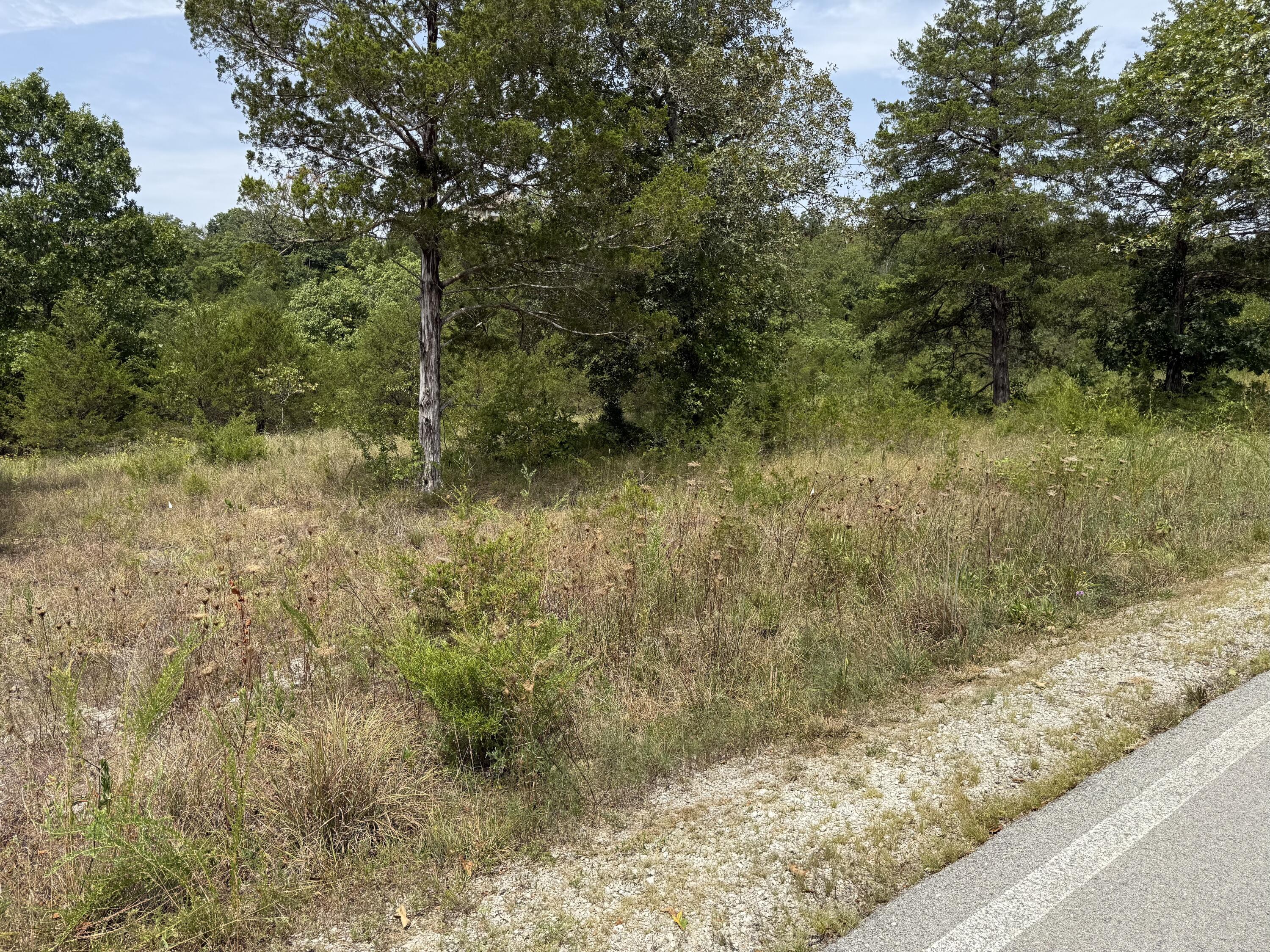 Photo 3 - Land for sale – 272  Beechwood Drive  Branson West, MO