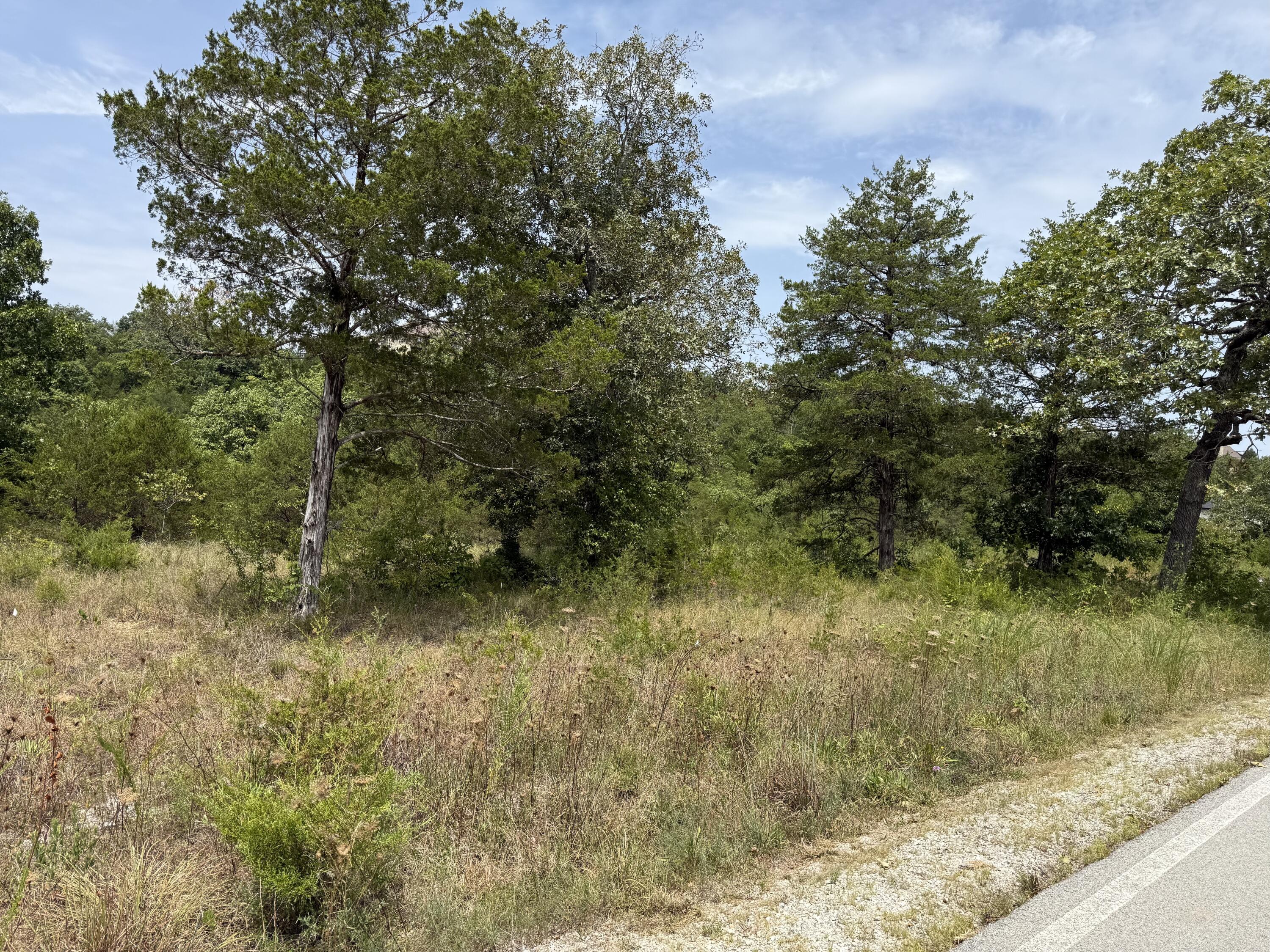 Photo 4 - Land for sale – 272  Beechwood Drive  Branson West, MO